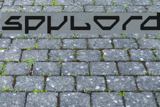 Spylord Example 2