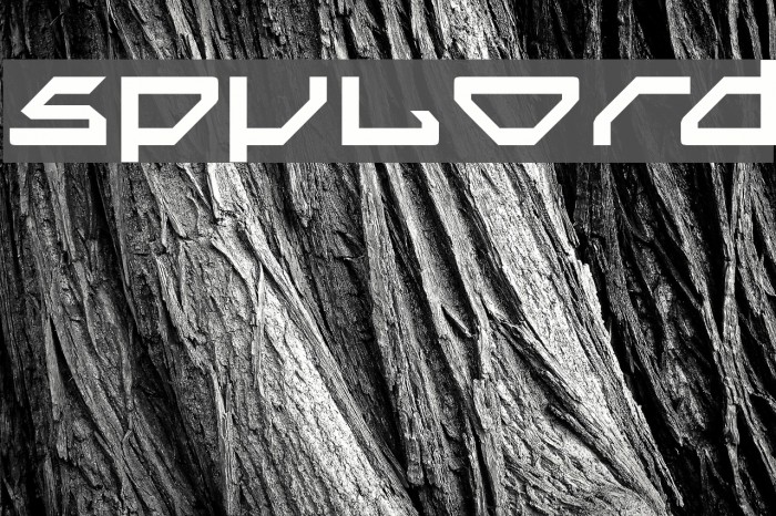 Spylord Schriftart examples