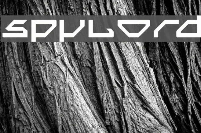 Spylord Example 3