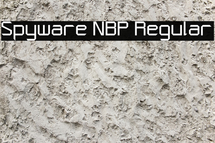 Spyware NBP Regular Example 1