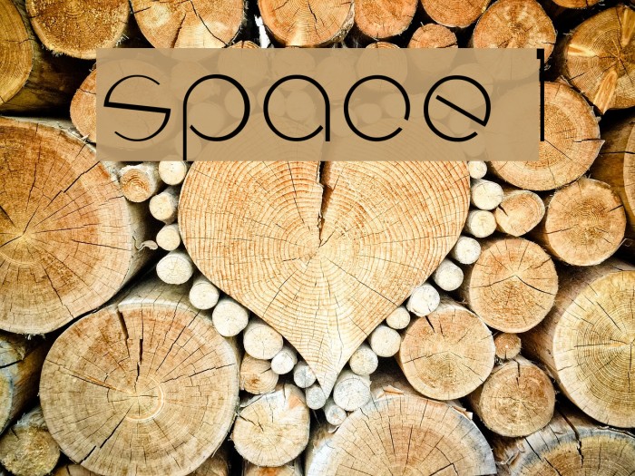 space 1 Font examples