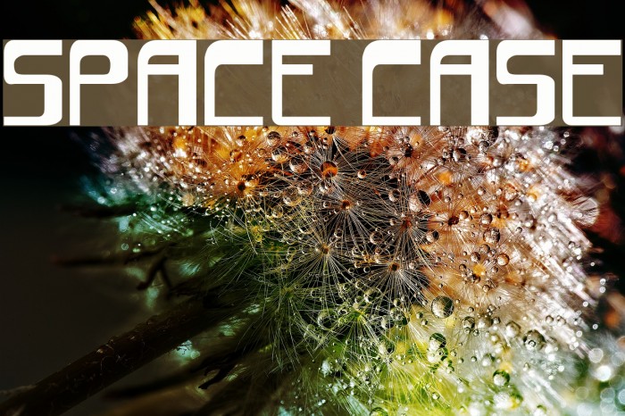 space case Шрифта examples