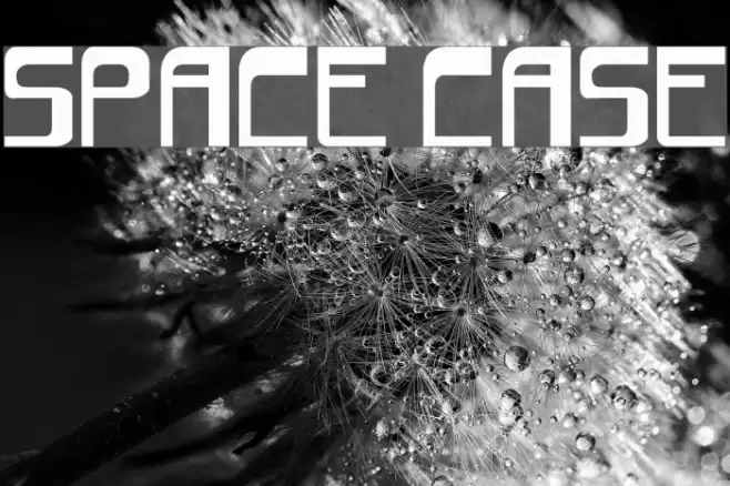 space case Font examples