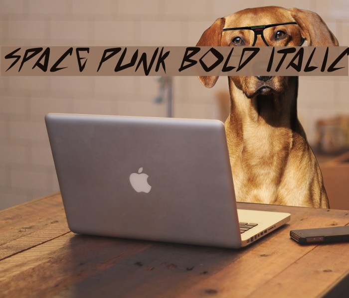 space punk Bold Italic Font examples