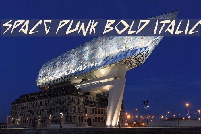 space punk Bold Italic Font examples