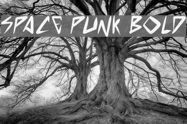 space punk Bold Font examples