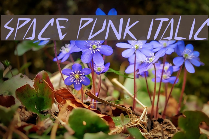 space punk Italic Font examples