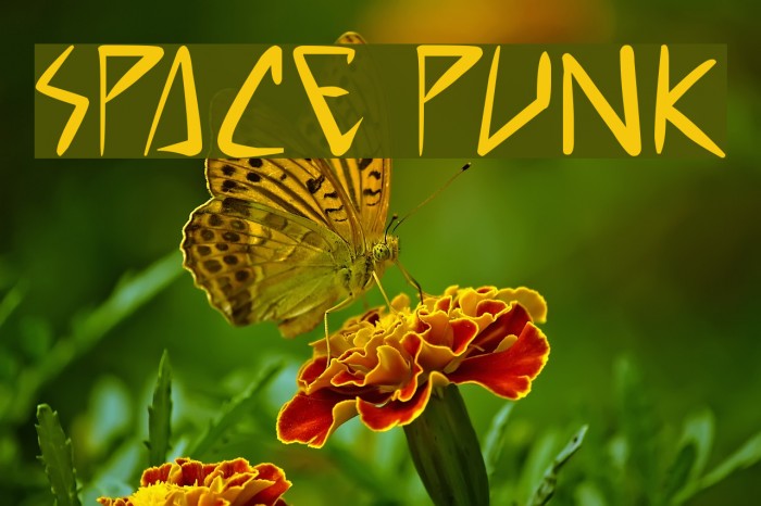 space punk Example 2