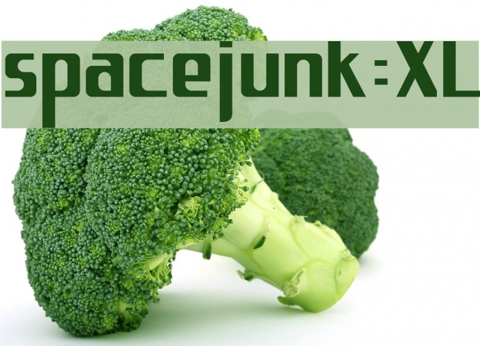 spacejunk:XL Font examples