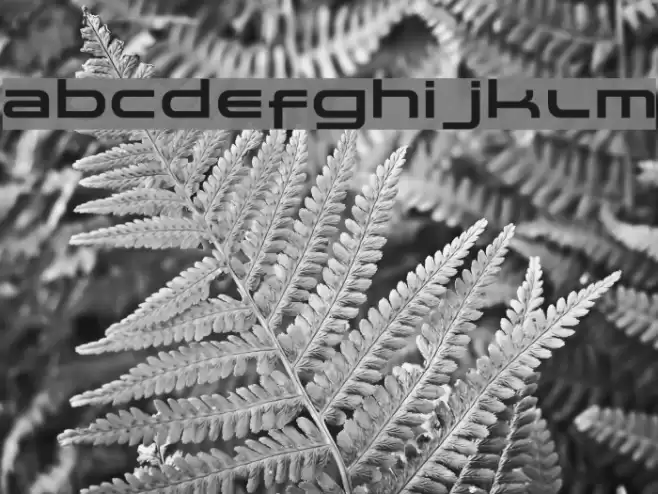 spaceman Font examples