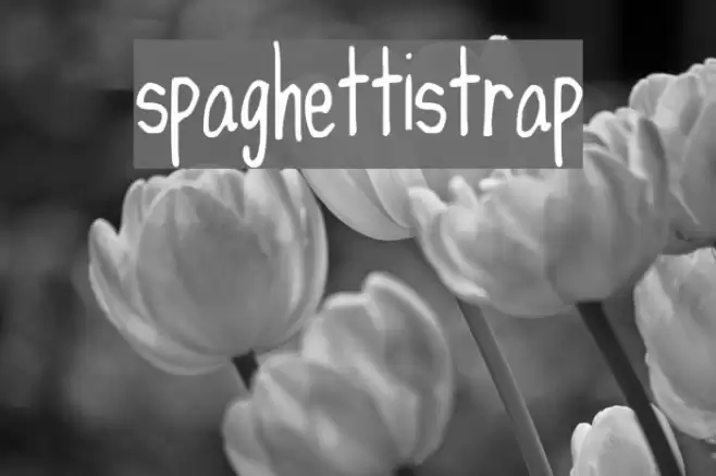spaghettistrap Font examples