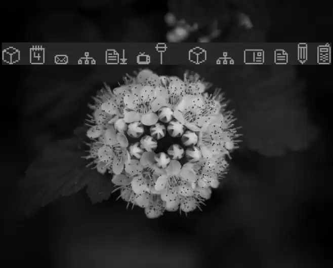 spaider simbol Font examples