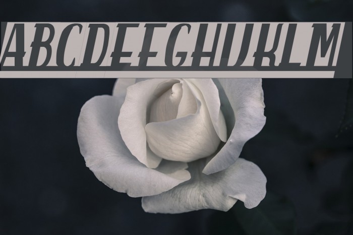 spanky's b blanco italico Font examples