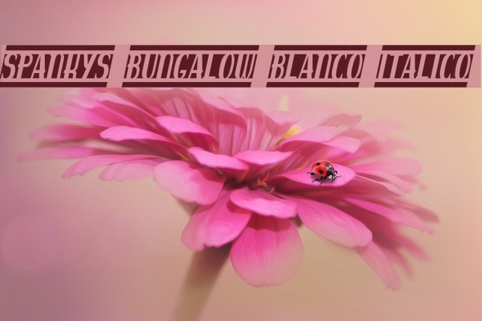 spankys bungalow blanco italico Font examples
