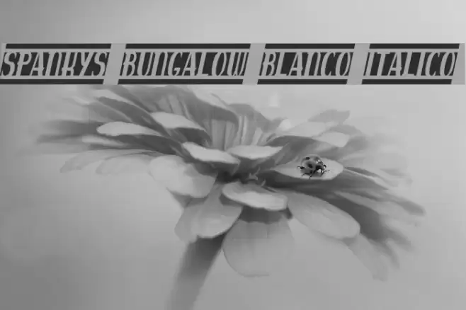 spankys bungalow blanco italico Fuentes examples