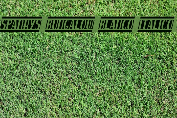 spankys bungalow blanco italico Font examples