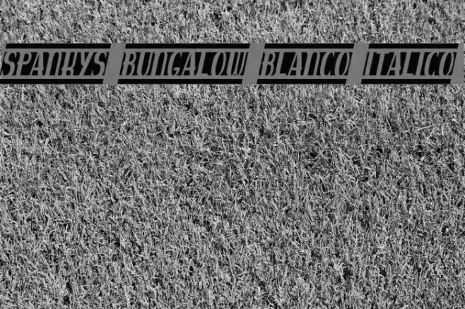 spankys bungalow blanco italico Fuentes examples