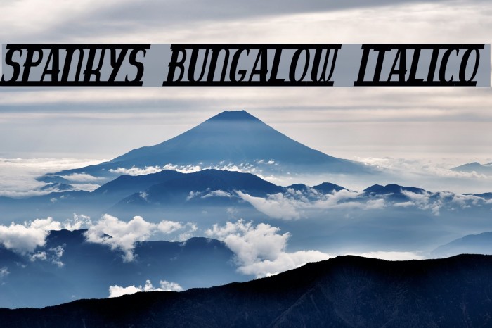 spankys bungalow italico Font examples