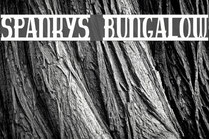 spankys bungalow Font examples
