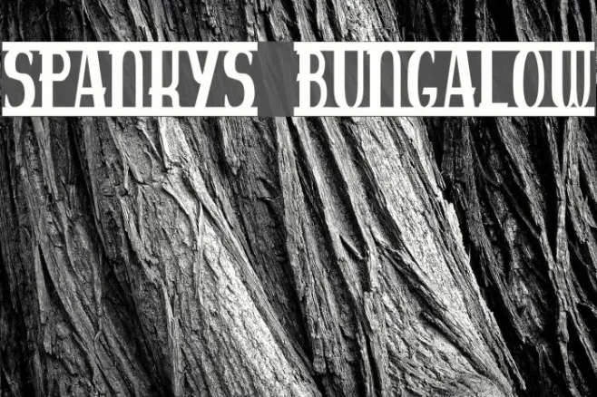 spankys bungalow Example 1