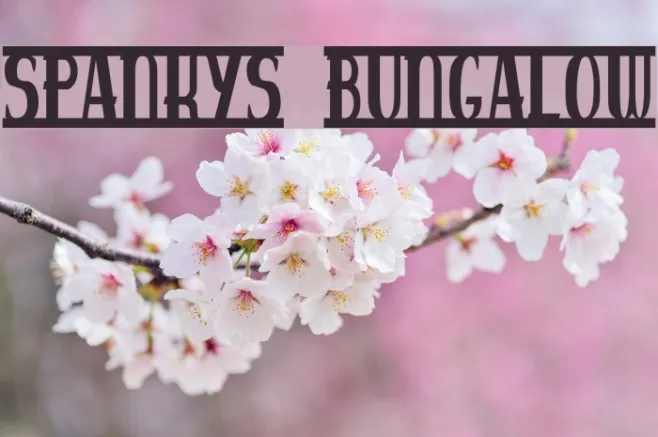 spankys bungalow Example 2
