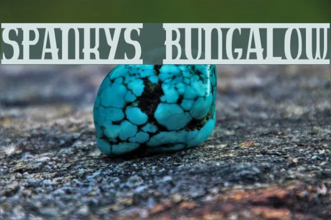 spankys bungalow Example 3