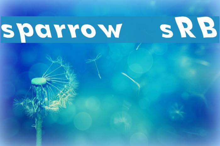 sparrow [sRB] Example 1