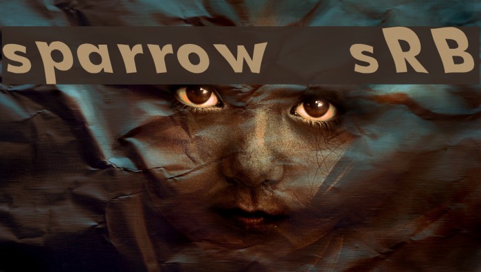 sparrow [sRB] Example 2