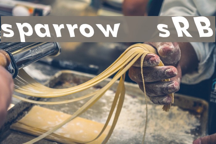 sparrow [sRB] Example 3