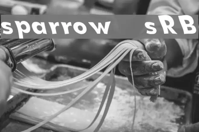 sparrow [sRB] Font examples