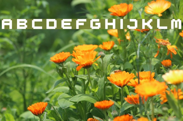 spdr02 Font examples