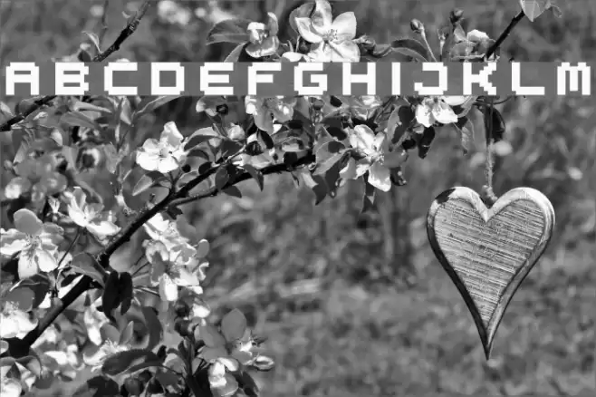 spdr02 Font examples