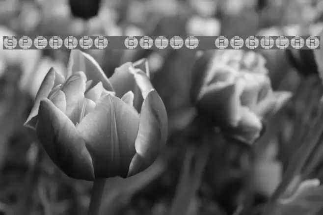 speaker grill Regular フォント examples