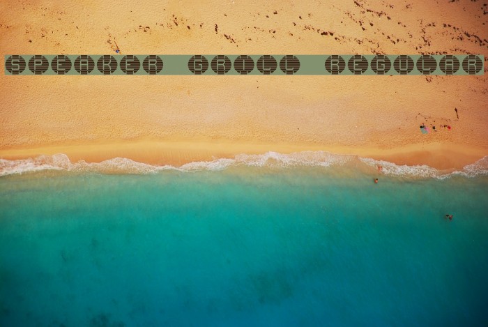 speaker grill Regular Font examples