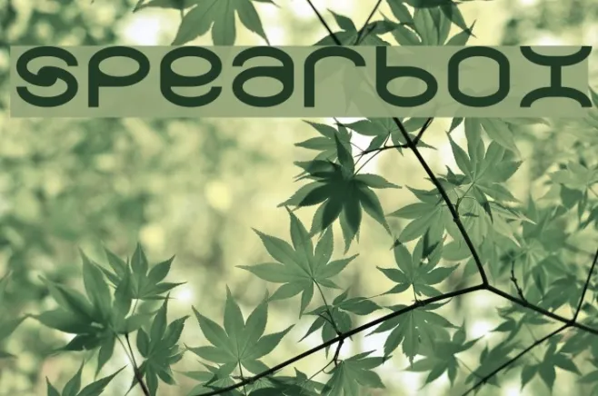 spearbox Example 2