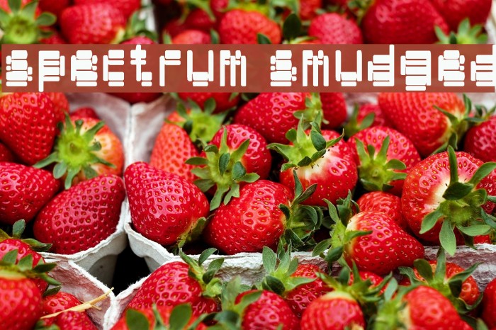 spectrum smudged Font examples