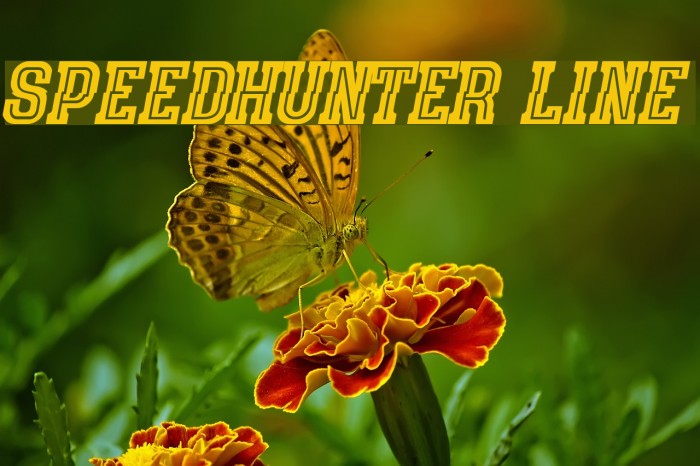 speedhunter line Font examples