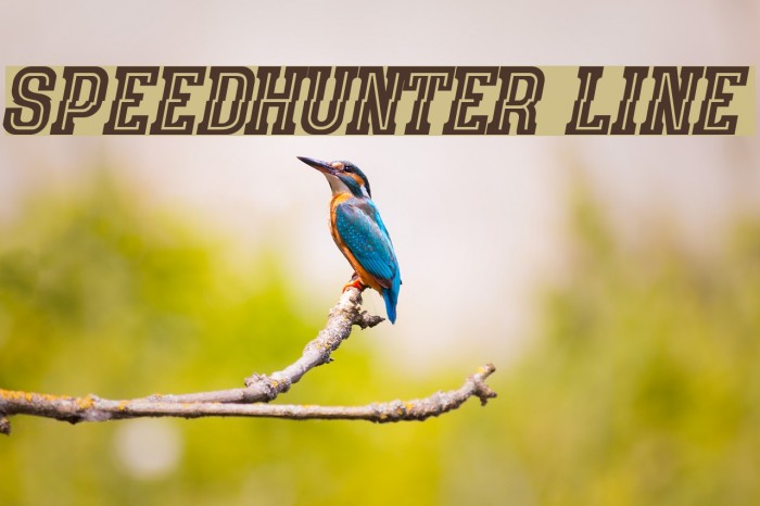 speedhunter line Font examples