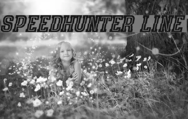 speedhunter line Font examples