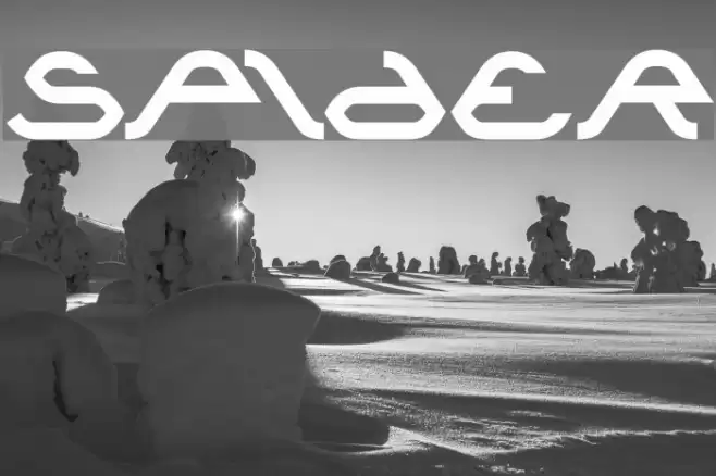 spider Font examples