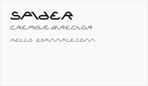 spider Business Card