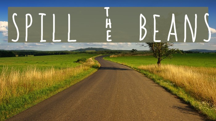 spill _ beans Font examples
