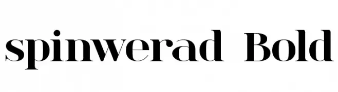 spinwerad Bold  Descarca Fonturi Gratis