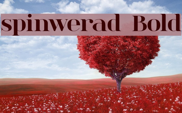 spinwerad Bold Font examples