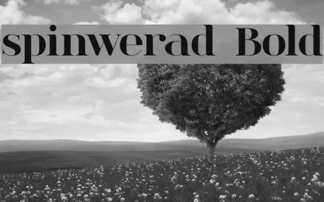 spinwerad Bold フォント examples