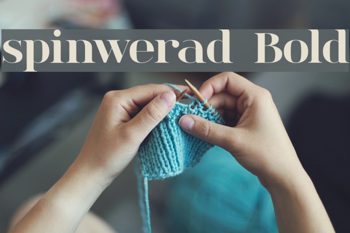spinwerad Bold Font examples