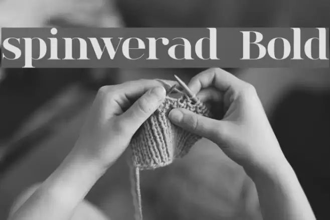 spinwerad Bold フォント examples
