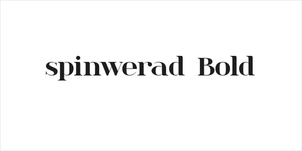 spinwerad Bold Logo
