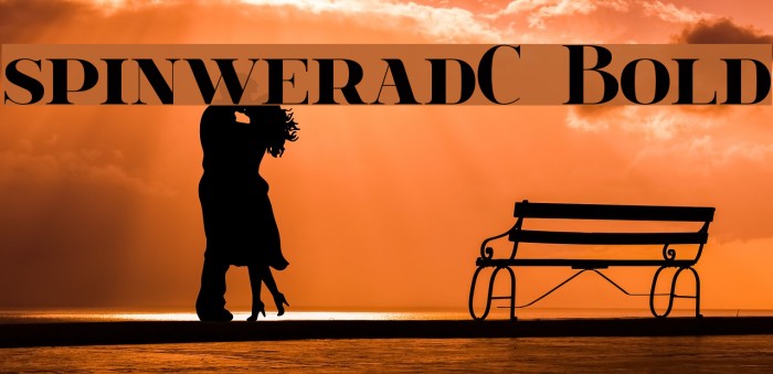 spinweradC Bold Font examples