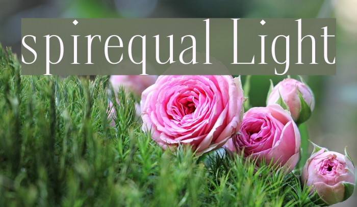 spirequal Light Font examples